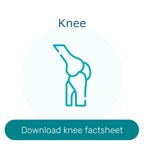 Ortho_Knee_Factsheet_Icon (1).png